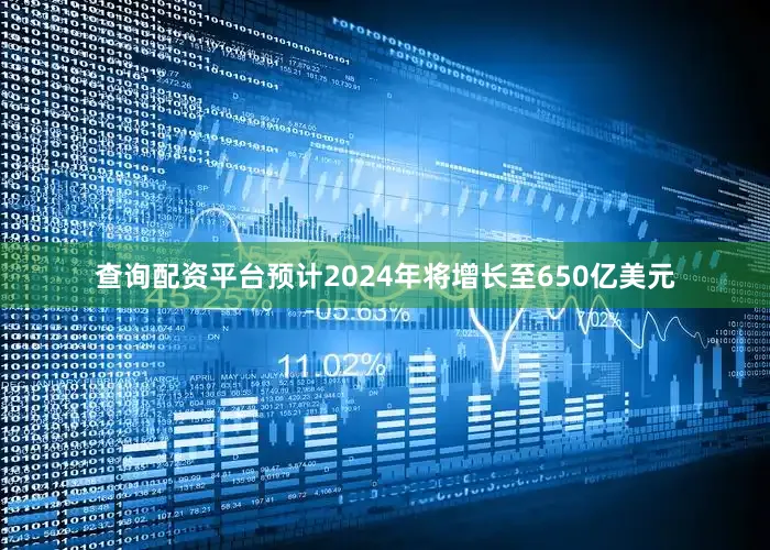 查询配资平台预计2024年将增长至650亿美元